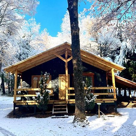 Cabanas Bosque Las Trancas Eksteriør billede