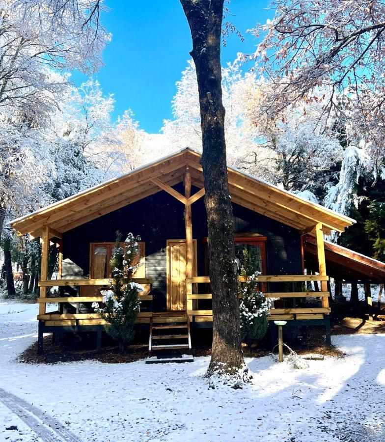 Cabanas Bosque Las Trancas Eksteriør billede