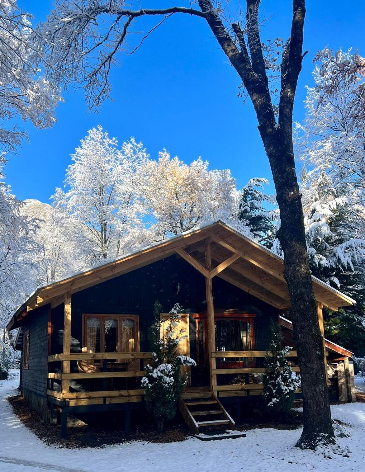 Cabanas Bosque Las Trancas Eksteriør billede